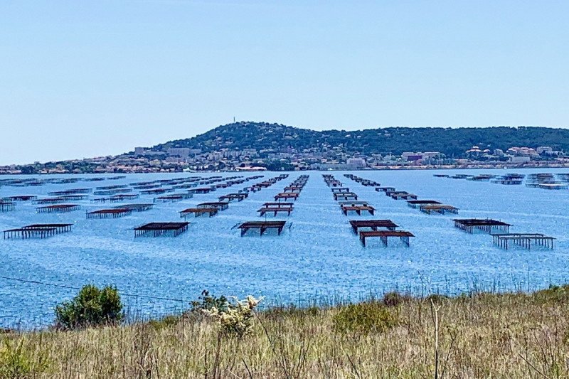 CLOS DOMITIA 1 2/4 personnes classé 2 **_8 CLOS DOMITIA 1 2/4 personnes classé 2 **_8