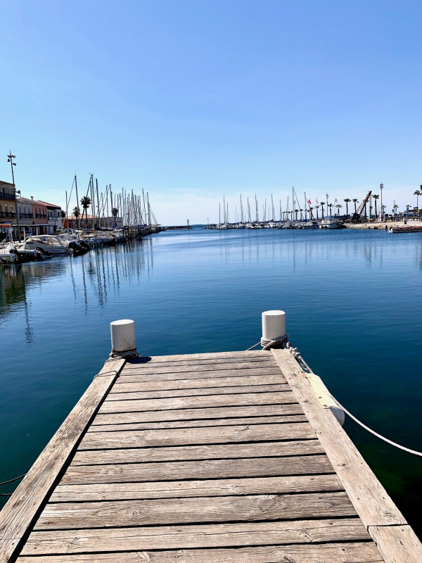 La gavina a meze me 164_11