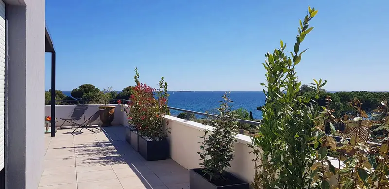 LOCATION  MEZE 1 RUE MANSA BILLET ODILE (4)