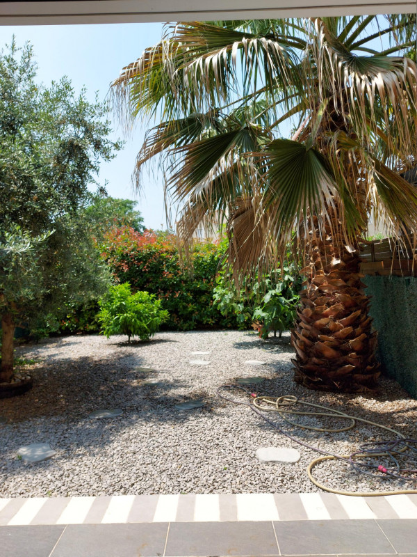 LOCATION BALARUC LE VIEUX LA MAISON COSY COHEN AKNINE DAVID (2) LOCATION BALARUC LE VIEUX LA MAISON COSY COHEN AKNINE DAVID (2)