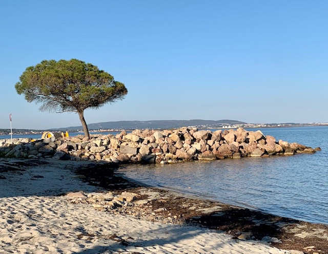 _lv_images__lot_0000000262_12_18862281