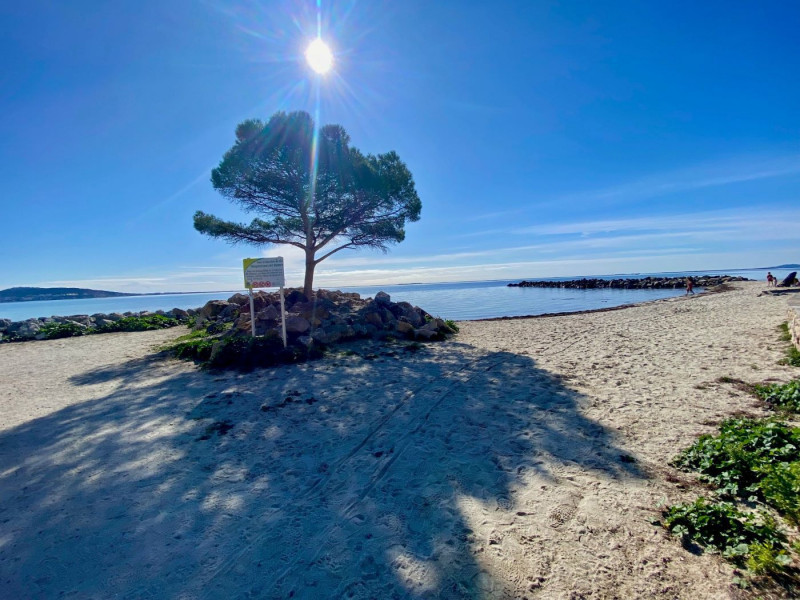 _lv_images__lot_0000000291_12_18855229 _lv_images__lot_0000000291_12_18855229