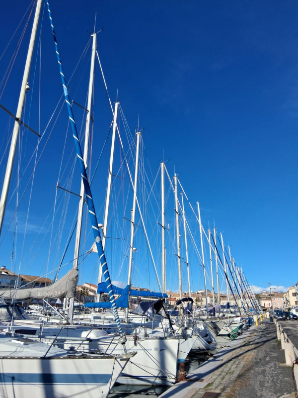_lv_images__lot_0000000453_14_19537837 _lv_images__lot_0000000453_14_19537837