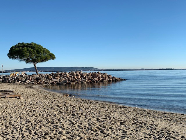 _lv_images__lot_0000000461_14_19278586