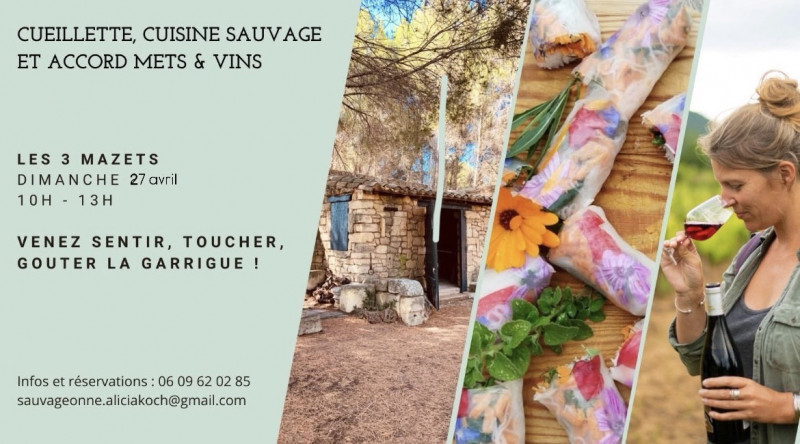 ATELIER : CUEILLETTE, CUISINE SAUVAGE ET ACCORDS METS ET VINS