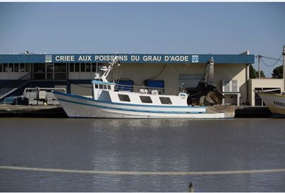 crieeagde01-8168492