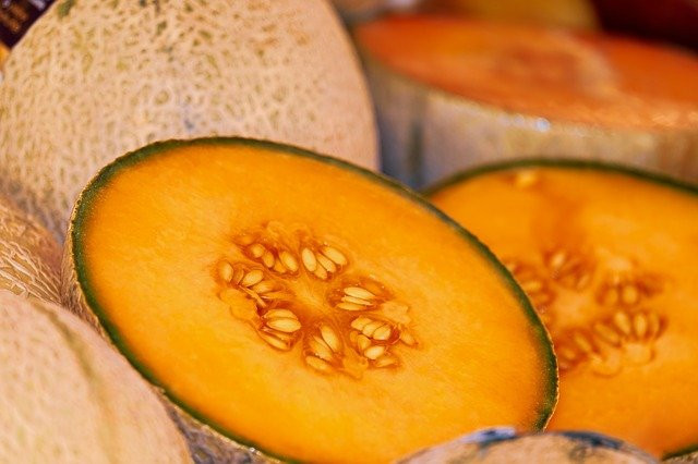 melon-3433835_640
