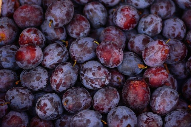 plums-2724160_640