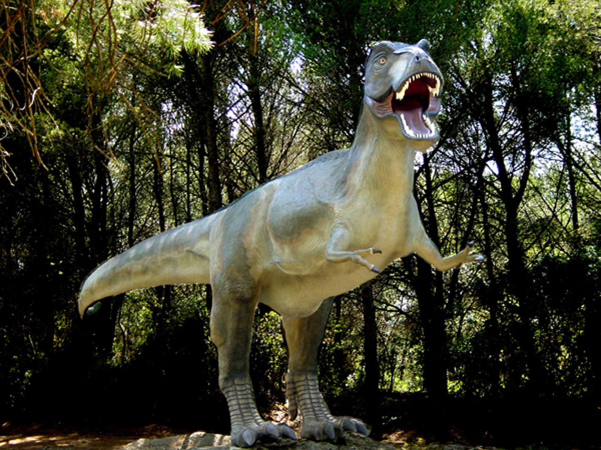  - © Musée Parc des dinosaures