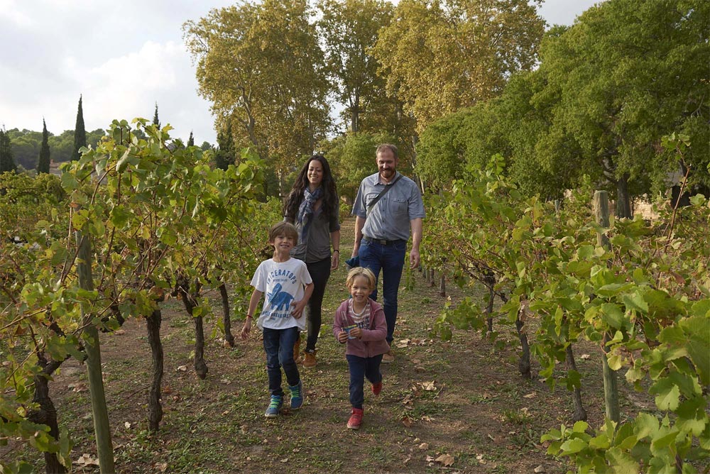 Vignes et jardins Abbaye de Valmagne - © C. Baras