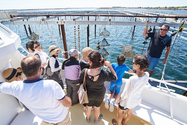 VISITE EN BATEAU DES PARCS À HUÎTRES AVEC BLEU MARIN DEPUIS BOUZIGUES